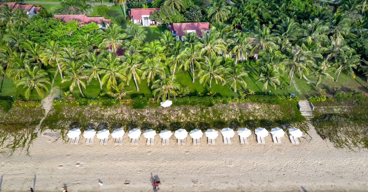 entdecken sie die besten ferienwohnungen für ihren unvergesslichen urlaub. genießen sie komfort und stil in den schönsten reisezielen - buchen sie jetzt ihre traumunterkunft!