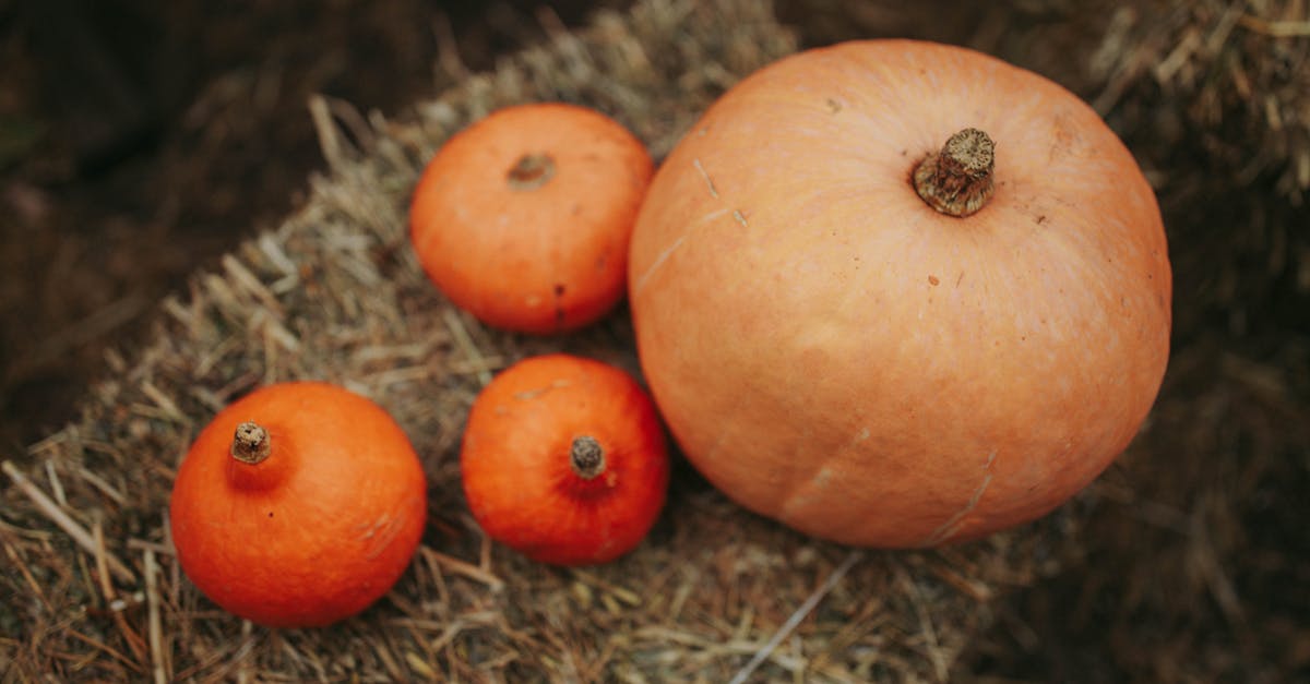 entdecken sie die welt des locavore! genießen sie frische, saisonale und regionale produkte, die nicht nur köstlich sind, sondern auch die umwelt schonen. werden sie teil der nachhaltigen bewegung und unterstützen sie lokale bauern und erzeuger.