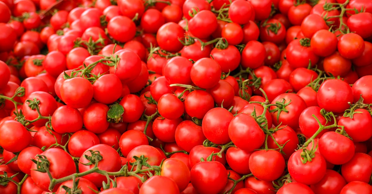 erfahren sie, wie ernährungberatung ihnen helfen kann, gesündere ernährungsgewohnheiten zu entwickeln und ihre gesundheitsziele zu erreichen. unsere experten bieten individuell zugeschnittene strategien und unterstützung für eine ausgewogene ernährung.