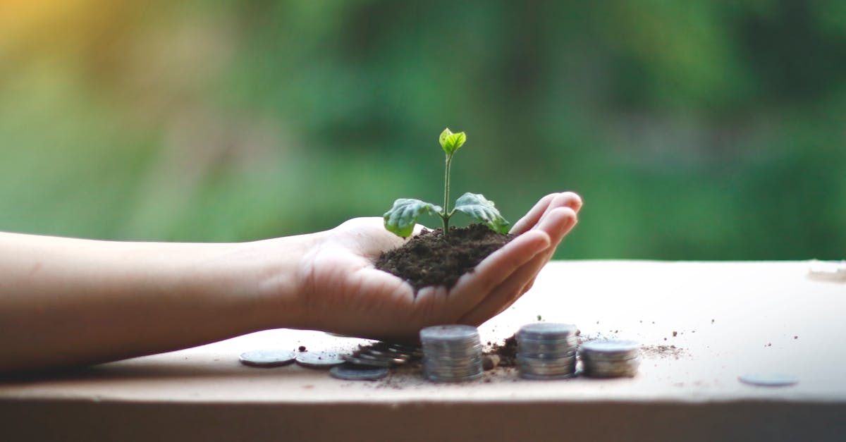 entdecken sie die welt der nachhaltigen finanzen: investieren sie verantwortungsbewusst für eine bessere zukunft. erfahren sie, wie nachhaltige geldanlagen positive soziale und ökologische wirkungen erzielen können.