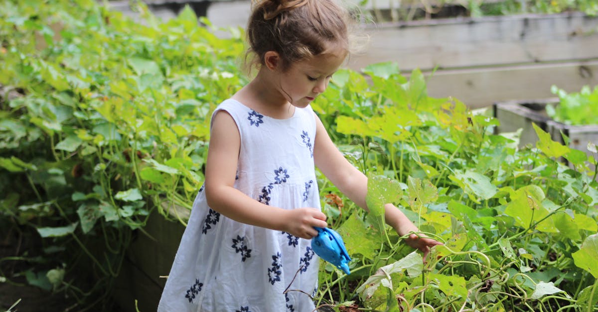 entdecken sie die besten tipps und tricks für das gärtnern. vom anlegen eines gemüsegartens bis zur pflege von blumenbeeten – verwandeln sie ihren garten in ein blühendes paradies!
