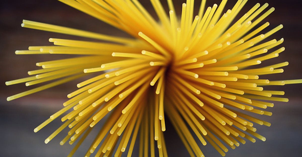 entdecken sie die faszinierende welt der kulinarischen köstlichkeiten! von traditionellen rezepten bis zu modernen kochtechniken – lassen sie sich inspirieren und genießen sie unvergessliche geschmackserlebnisse.