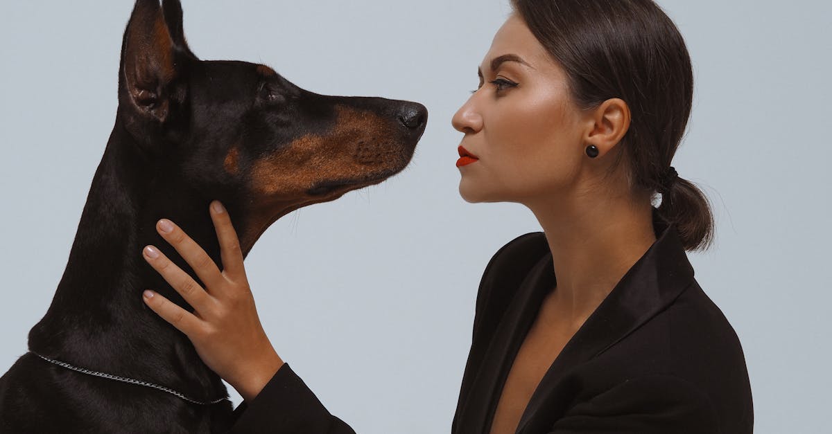 entdecken sie die faszinierende welt des hundeverständnisses. erfahren sie, wie hunde kommunizieren, ihre emotionen ausdrücken und eine tiefere bindung zu ihren besitzern aufbauen. tauchen sie ein in die psychologie der hunde und lernen sie, ihre pelzigen freunde besser zu verstehen.