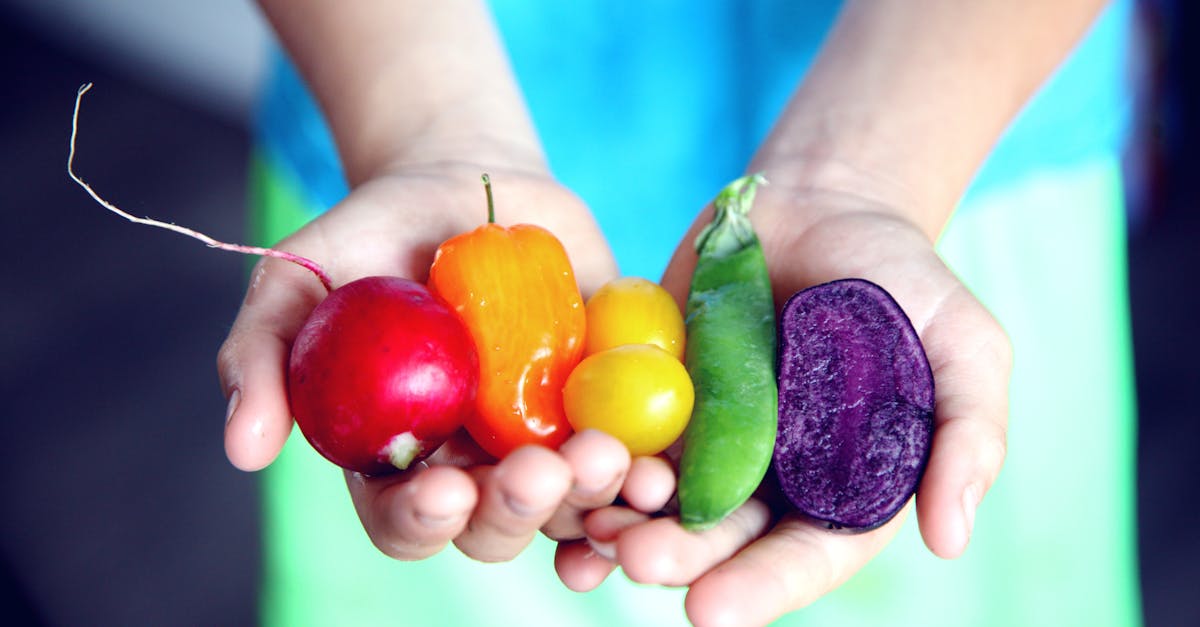 entdecken sie die vorteile einer gesunden ernährung und erfahren sie, wie sie ausgewogene mahlzeiten zubereiten können, um ihr wohlbefinden zu steigern und ein gesünderes leben zu führen.