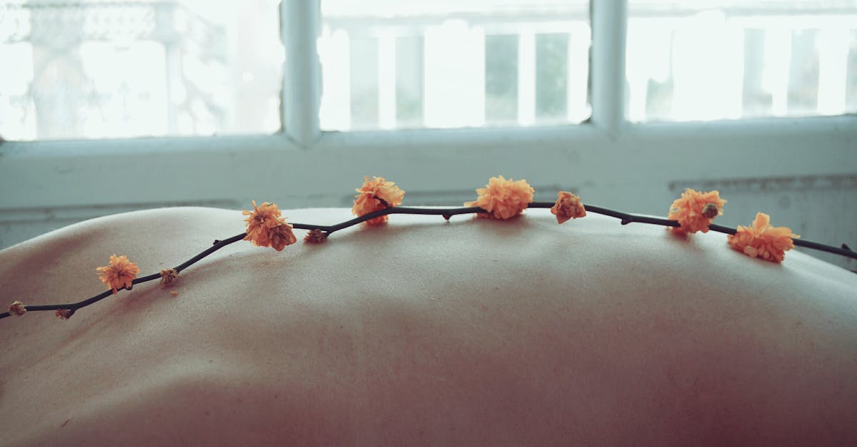 Wellness: Tipps für ein besseres Wohlbefinden
