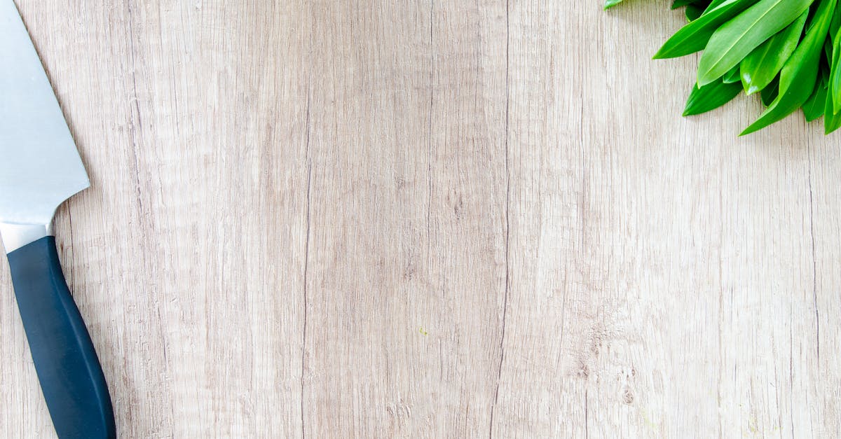 Kochen für Anfänger: Tipps und Rezepte für den Einstieg