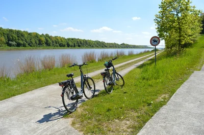 Umweltbewusst auf dem Familienradweg Thüringen fahren: Tipps und Tricks für einen nachhaltigen Ausflug