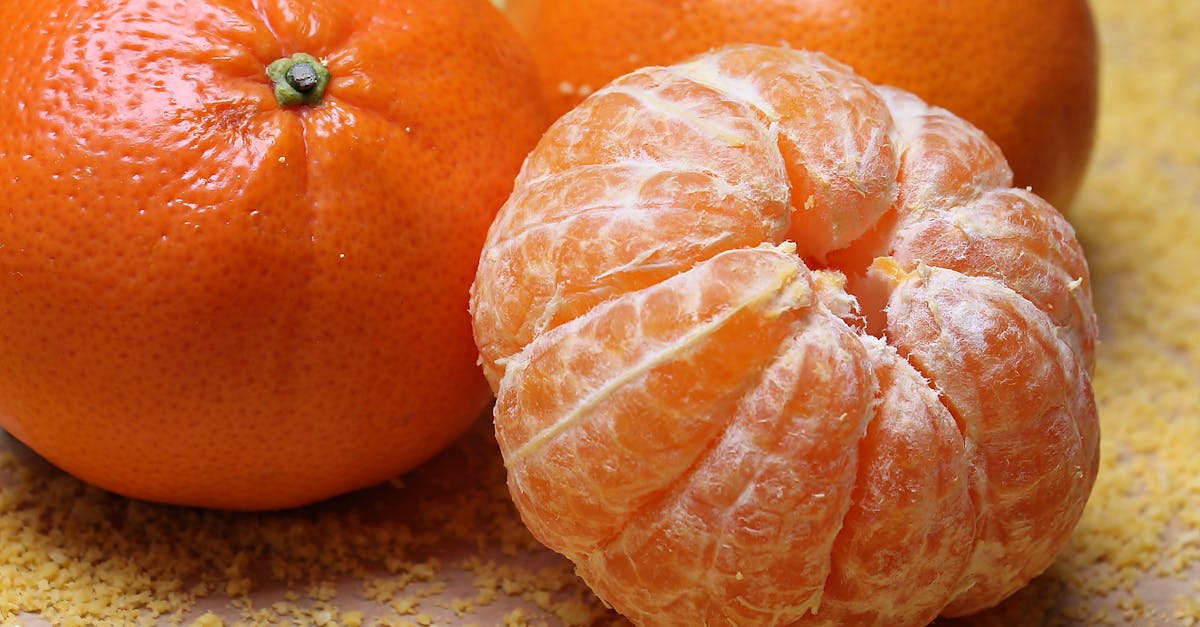 Saisonale Küche: Leckere Rezepte für jede Jahreszeit