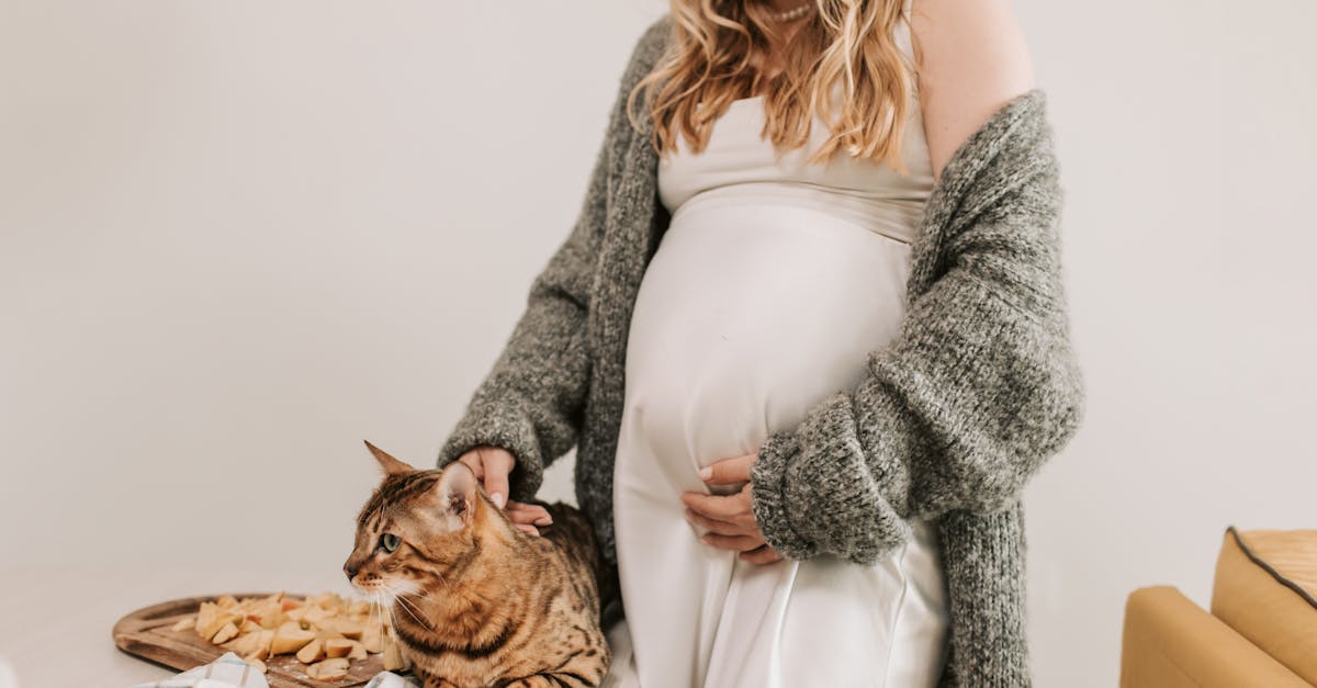 Katzenpflege: Tipps für ein glückliches und gesundes Leben