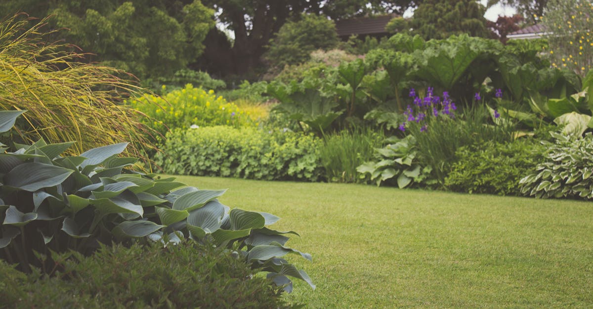 Gartenarbeit: Tipps für die erfolgreiche Pflege Ihres Gartens