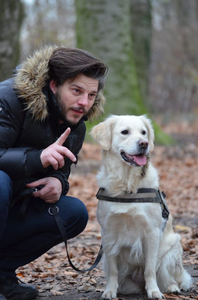 Ein Mann interagiert mit einem Golden Retriever Hund in einem lebhaften Herbstwald.