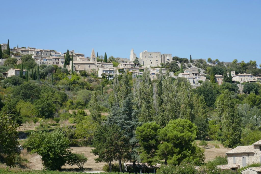 a village on top of a hill surrounded by trees
